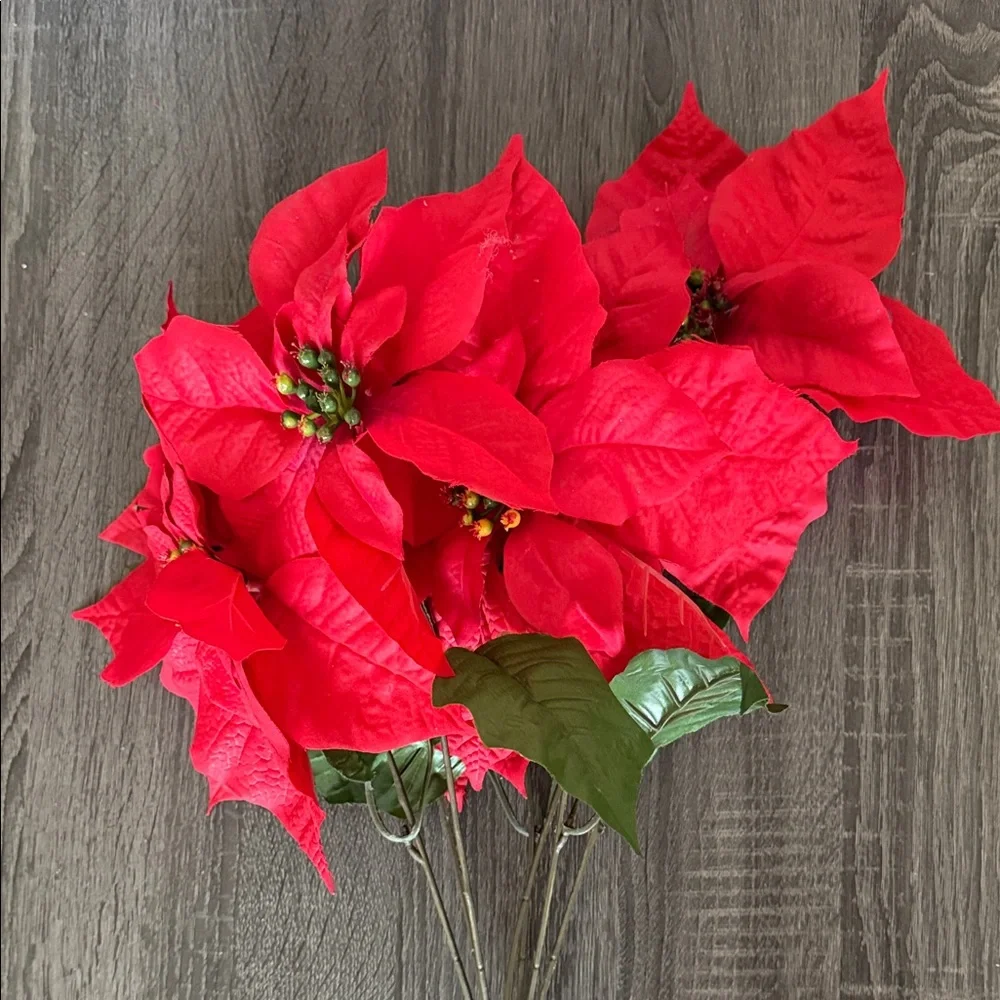 Red Poinsettia Stem